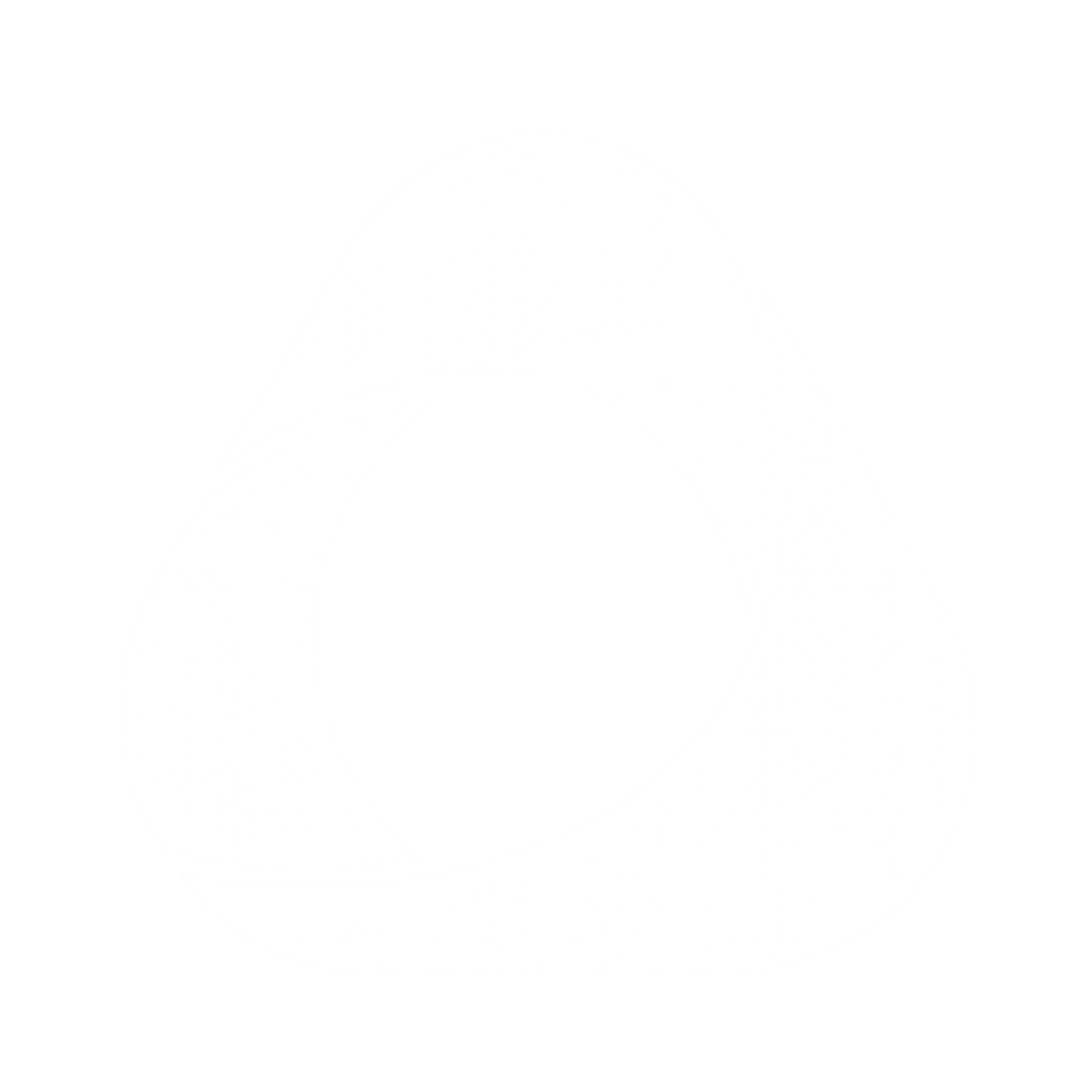 Chicly Logo